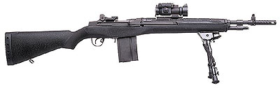 M1a.jpg