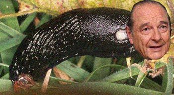 chiracslug.jpg